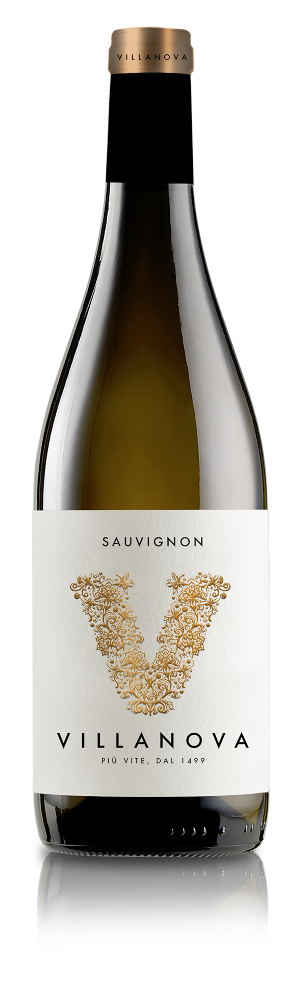 Sauvignon Friuli Collio DOC
