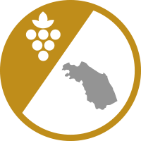 ico-cat-vino-marche-ORO